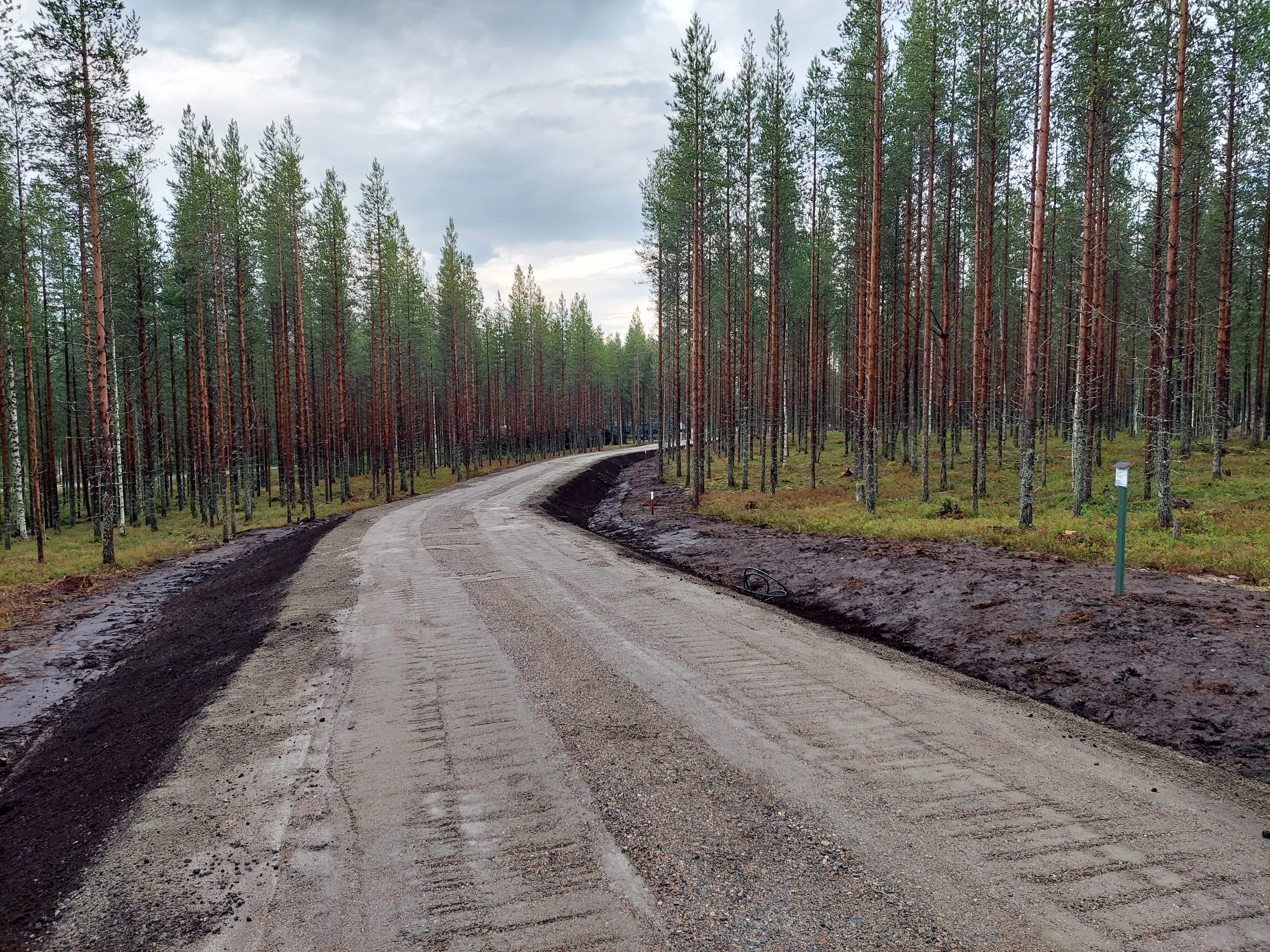 Kuvassa on soratie, joka kulkee metsän läpi. Taivas on pilvinen ja valaistus on pehmeää. Tien molemmin puolin on korkeita mäntyjä.